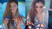 Rubina Dilaik Looks Super HOT In Bikni Enjoying With Star Fish In Water; Watch Video | Boldsky