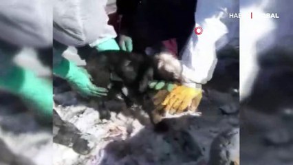 Van'daki enkazdan günler sonra güzel bir haber geldi