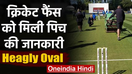 IND vs NZ: Fans getting explained of how pitch played at Hagley Oval, Watch Video | वनइंडिया हिंदी