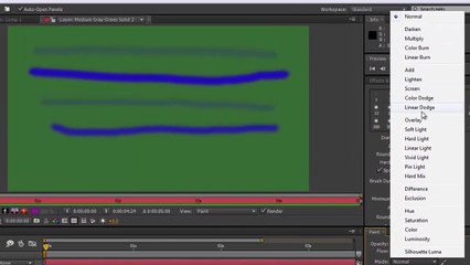 After Effects Basics 48 Paint 2 Panel Options 1