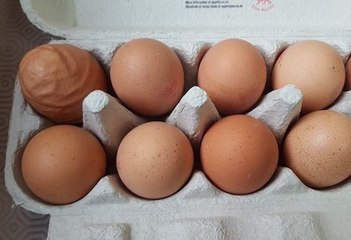 Il ouvre sa boite d’œufs et découvre quelque chose d'incroyable