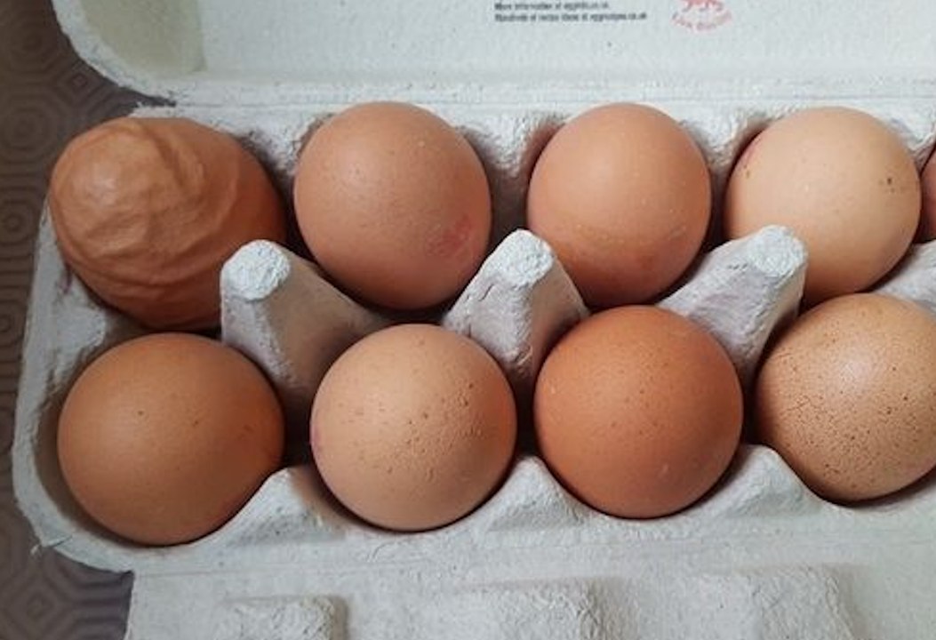 Il ouvre sa boite d’œufs et découvre quelque chose d'incroyable