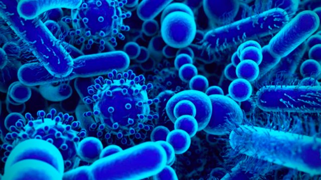 ದಿನದಿಂದ ದಿನಕ್ಕೆ ಏರುತ್ತಿದೆ ಕೊರೊನ ಸಾವಿನ ಪ್ರಕರಣ | Corona Virus | China | Oneindia Kannada