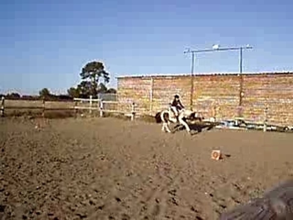 P1010038
