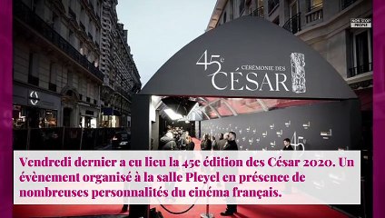 Vincent Cassel accusé de racisme, pourquoi son hashtag negrophile4life ne passe pas
