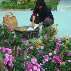 Liziqi red potatoes recipe amazing cooking