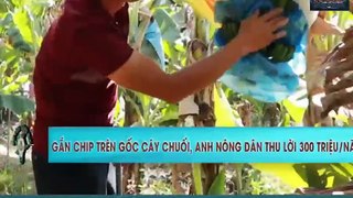 Những lối thênh thang cho nông sản | LÀM NÔNG THÔNG MINH - 02 3 2020 Đường...