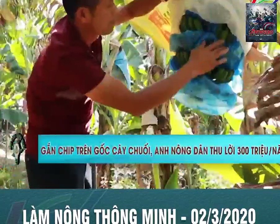 Những lối thênh thang cho nông sản | LÀM NÔNG THÔNG MINH - 02 3 2020 Đường...