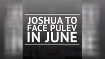 BREAKING NEWS - Joshua to fight Pulev in June