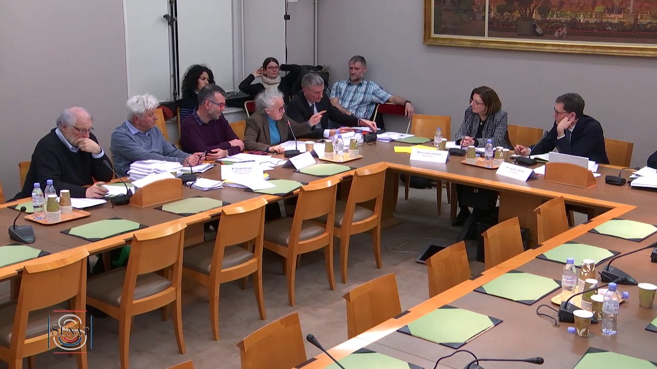 260220 Commission d’enquête sur la dépollution des sols : auditions des associations de défense de l'environnement suite