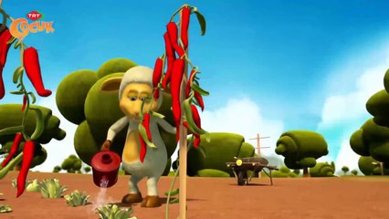 Kuzucuk 36.Bölüm - Acı Biber - TRT Çocuk | myelif