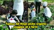 Taimur Ali Khan picks organic veggies at a farm