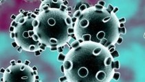 Widely Circulated Fake Audio on Coronavirus