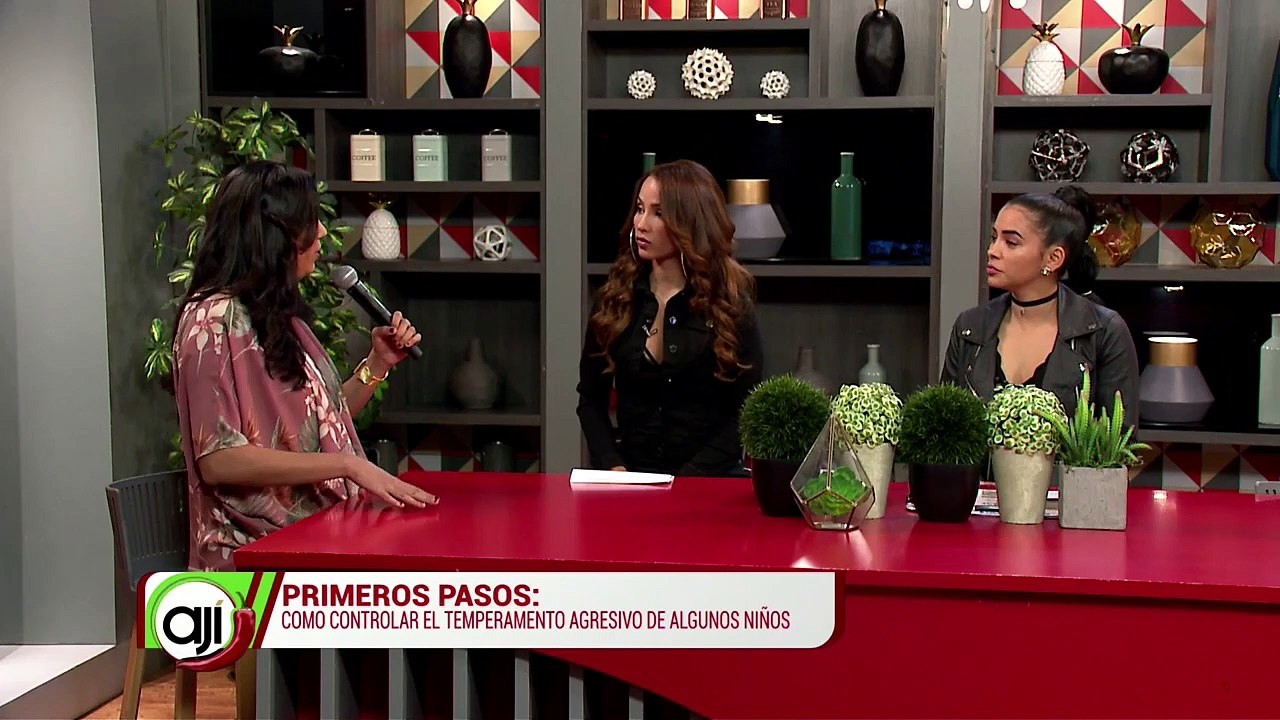 Primeros pasos | ¿Cómo controlar el temperamento agresivo de algunos niños - Nex Panamá
