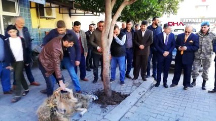 Hatay komandolar, kurban kesilip, dualarla idlib'e gönderildi