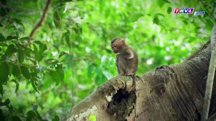 Lời nguyền lúc 0 giờ - Tập 13 FullHD - Phim Việt Nam 02-03-2020
