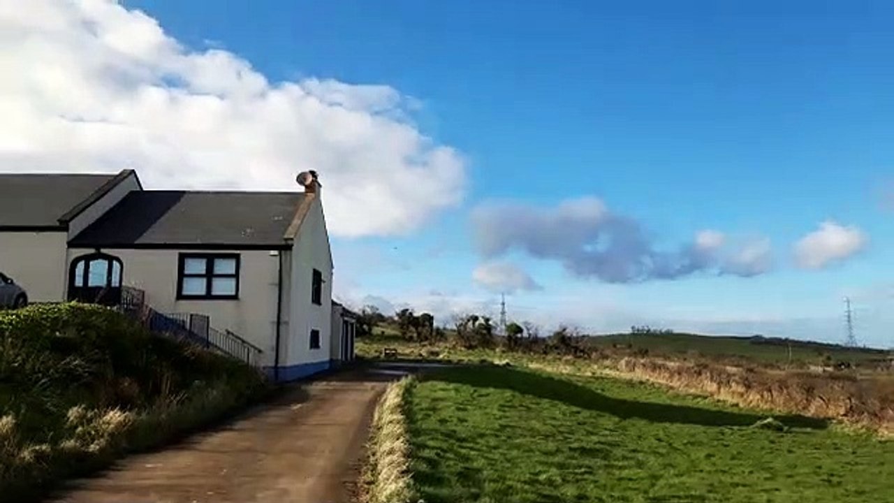 Larne Scene