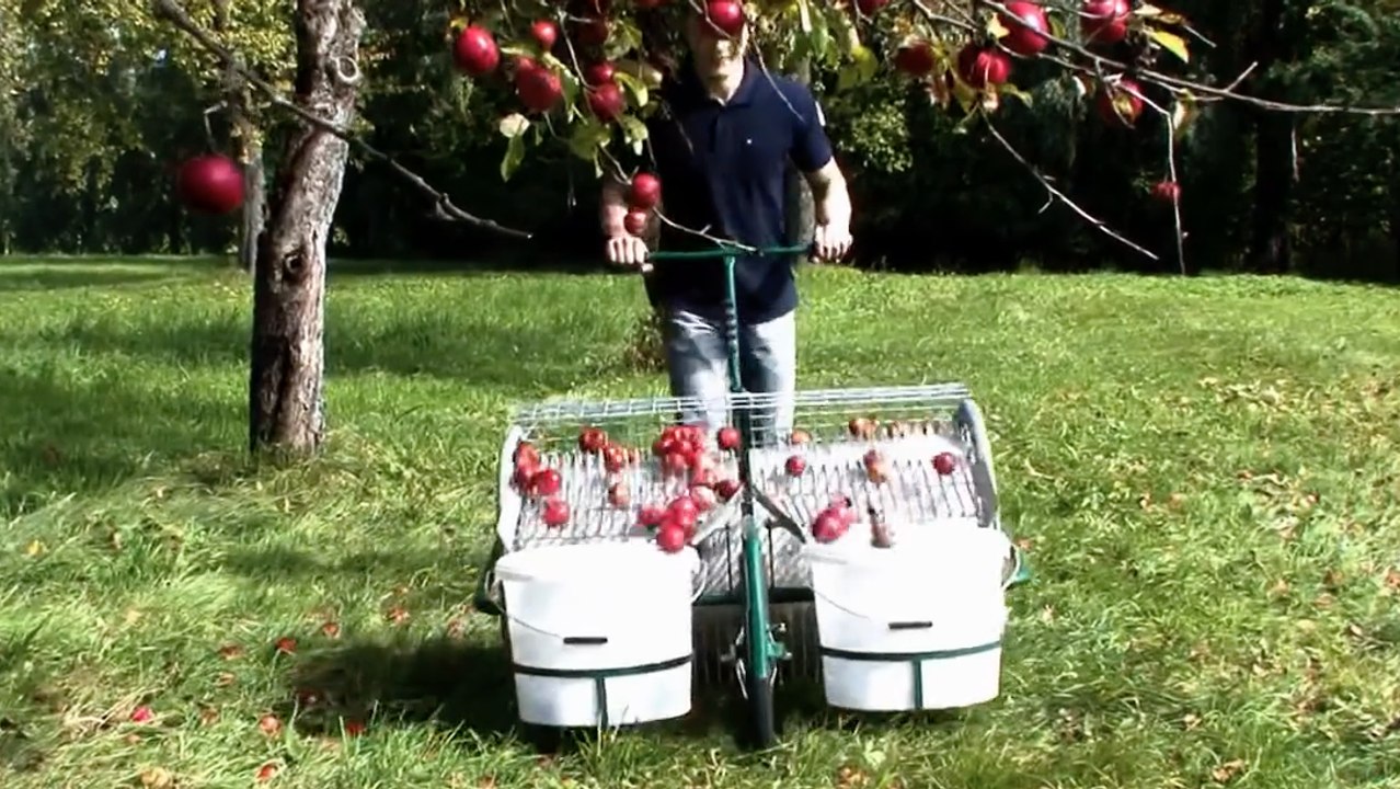 The Ultimate Fruit Collector