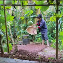 Liziqi amazing traditional handicraft video