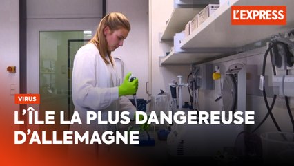 L'île la plus dangereuse d'Allemagne abrite des centaines de virus