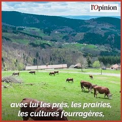 Pourquoi en finir avec l’élevage est une très mauvaise idée