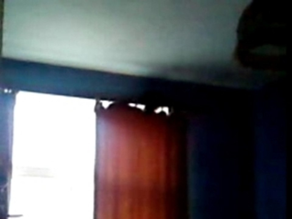 chat demant....