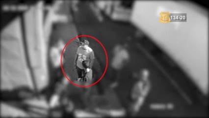 ext-hurto-de-bolso-020320