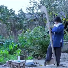 Liziqi Traditional handicraft