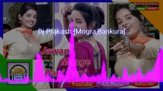 Charti Jawani Mange Pani Pani || New Hariyanvi Dj song