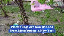 Plastic Bags Are Now Banned From Distribution in New York