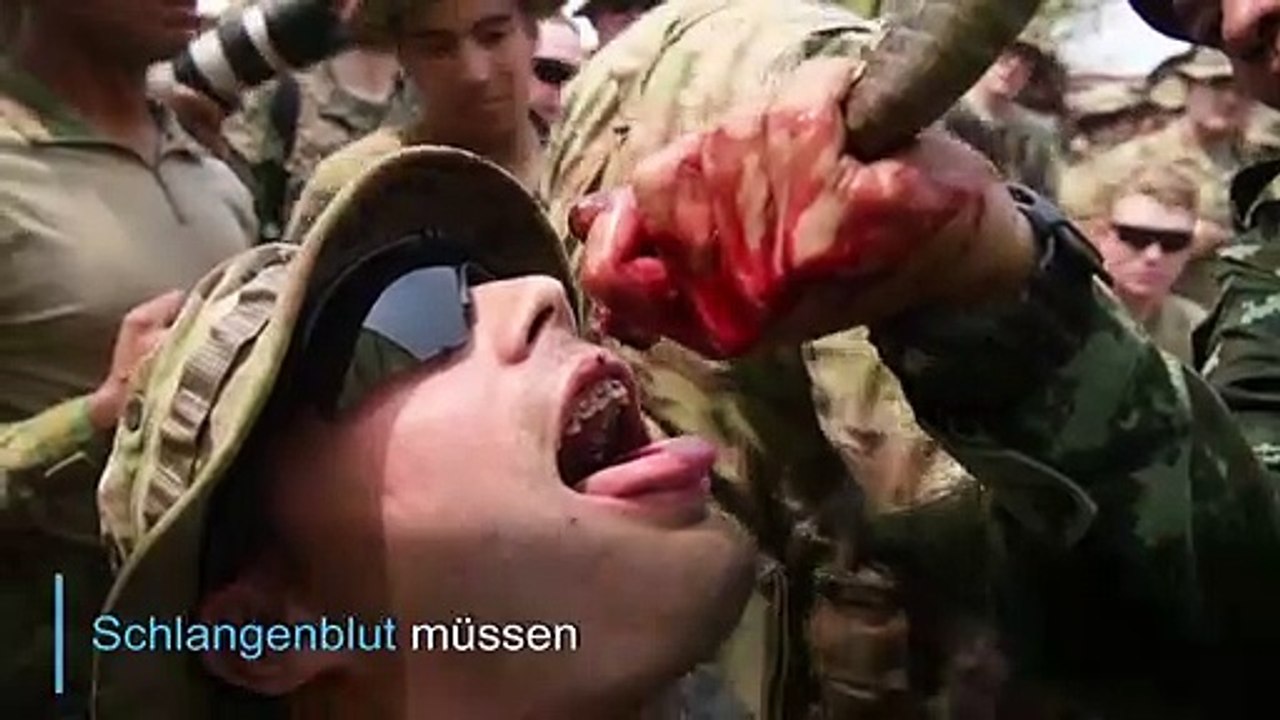Schlangenblut trinken: mutprobe beim thailändischen dschungeltraining