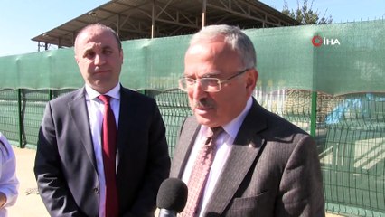 Ordu'da Can Dostlara Modern Barınak