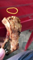 Doggo Obviously Wants the Meat