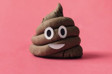 What the Appearance of Your Poop Can Tell You About Your Health