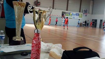GRAND TOURNOI U13 / MIREBEAU 2020 7/17 (29/02)