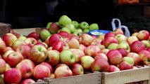 Yes, Square Apples Are A Thing