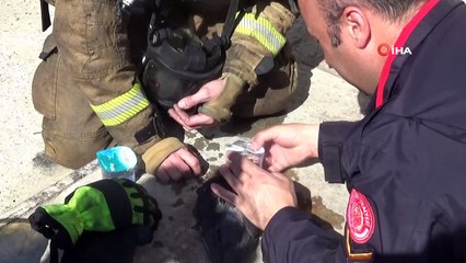 Atölyedeki yangında dumandan etkilenen güvercine itfaiye şefkati