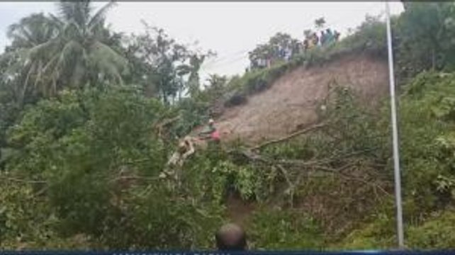 Longsor dan Pohon Tumbang di Manokwari, Dua Warga Terluka
