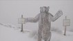 Big Bear Mountain thrives with fresh snow