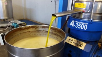 Burhaniye’de zeytin çekirdeğine Almanya’dan talep var