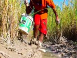 Fishing With Cambodia Beer & Eggs Catch Fishes From Hole