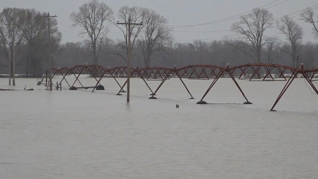180,000 acres of farmland flooded in Mississippi