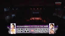 Tomoka Nakagawa & Kellie Skater vs. Hikaru Shida & Kaho Kobayashi 2014.12.04