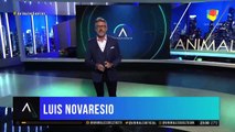 Así comenzó el ciclo de Animales Sueltos con la conducción de Luis Novarersio