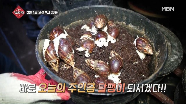 생생 정보마당 [586회] - 실속 있는 수요일