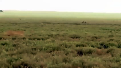 군포출장서비스 군포출장서비스O1OE6683E6402｛카톡GMC3 라인gmc3｝ 군포출장마사지샵 군포출장안마on군포출장안마cos여3♪⇔∃마사지황형♥≊≪