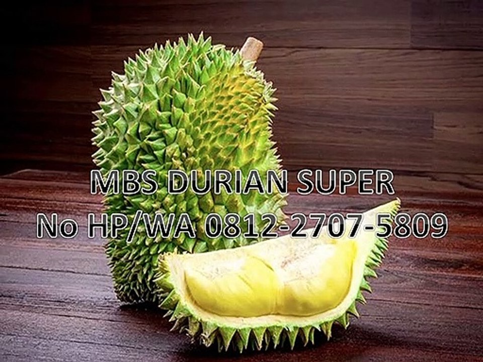 GROSIR, WA 0812-2707-5809, Bibit Durian Elai Sulawesi Selatan