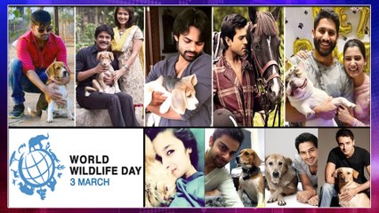 World Wild Life Day 2020 : Celebrities Love Towards Wild Life