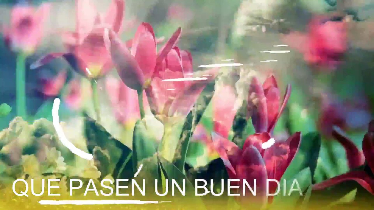 Conoce El Tiempo de Hoy Martes 3 de Marzo de 2020