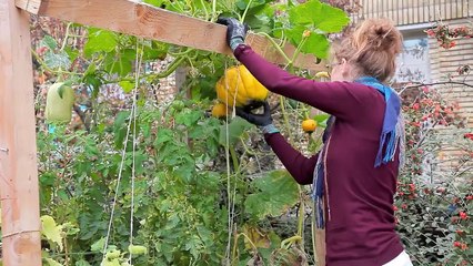 Les Grands Voisins la cité rêvée Film Documentaire